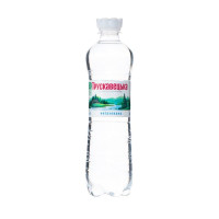 Truskavets Still Water 0.5 L (PET)