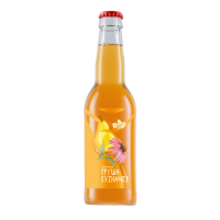 Pear-Echinacea Kombucha 0.33 L